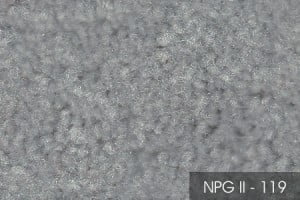 2NPGII-119-54